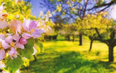 Mobilni termogenerator – efikasna zaštita od mraza